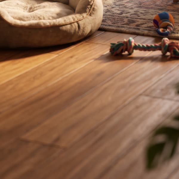 A wooden floor with a rope toy and an empty pet bed